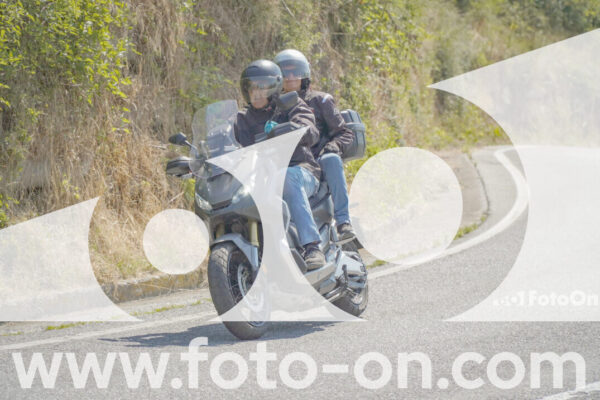 <h1 class="product-title">thumb_FF109689</h1>