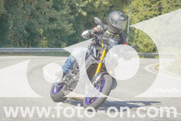 <h1 class="product-title">thumb_FF109690</h1>
