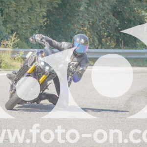 thumb_FF109720