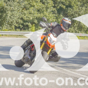 thumb_FF109725