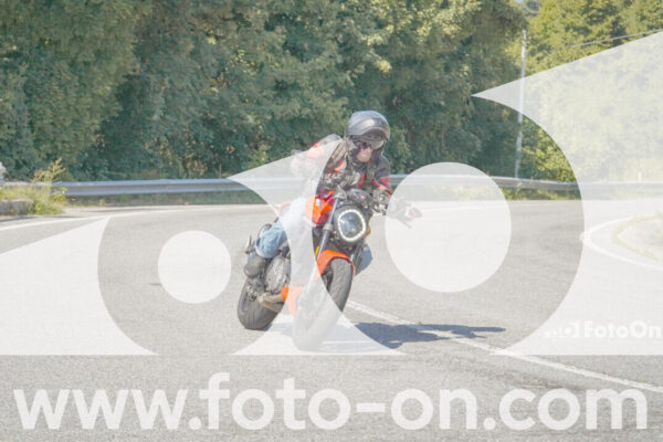 <h1 class="product-title">thumb_FF109750</h1>