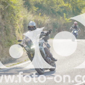 thumb_FF109754