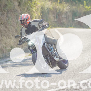 thumb_FF109755