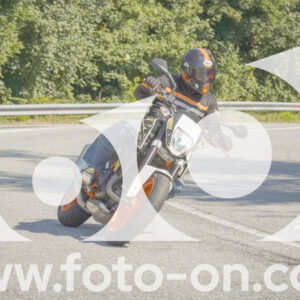 thumb_FF109788