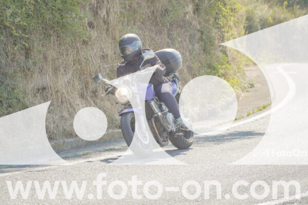 <h1 class="product-title">thumb_FF109793</h1>