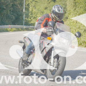 thumb_FF109795