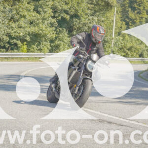 thumb_FF109800