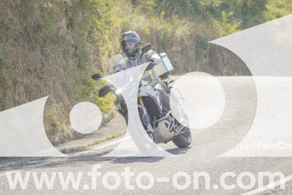 <h1 class="product-title">thumb_FF109802</h1>