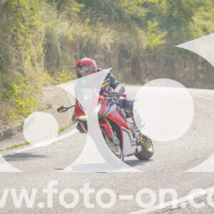 thumb_FF109819