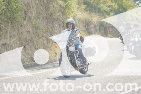 <h1 class="product-title">thumb_FF109833</h1>