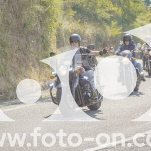 thumb_FF109834