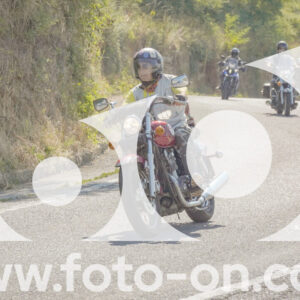 thumb_FF109836