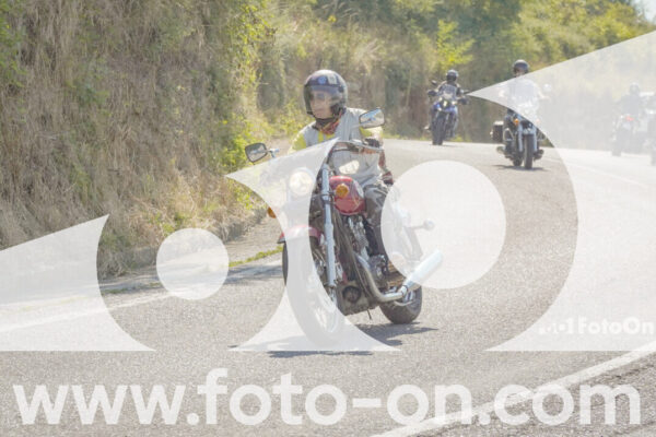 <h1 class="product-title">thumb_FF109836</h1>