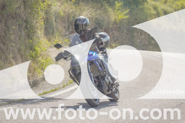 <h1 class="product-title">thumb_FF109838</h1>