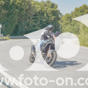 thumb_FF109858