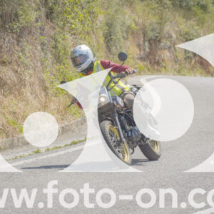thumb_FF109861