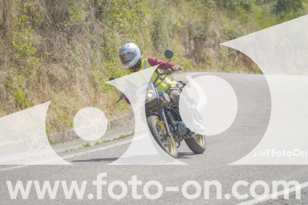 <h1 class="product-title">thumb_FF109861</h1>