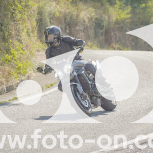 thumb_FF109880