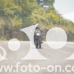 thumb_FF109883