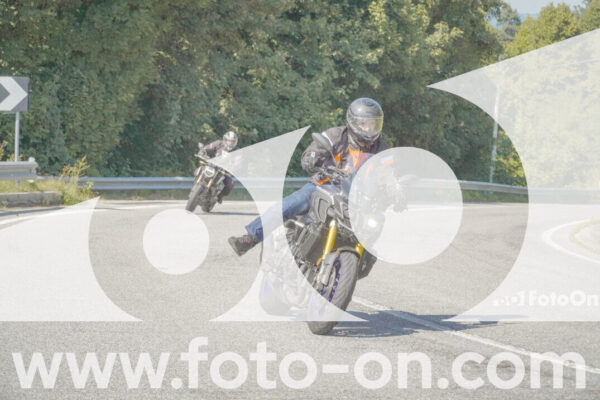 <h1 class="product-title">thumb_FF109891</h1>