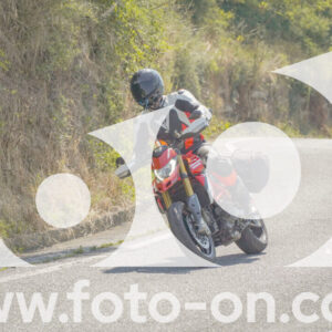 thumb_FF109899