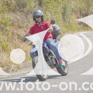thumb_FF109901