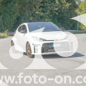 thumb_FF109912