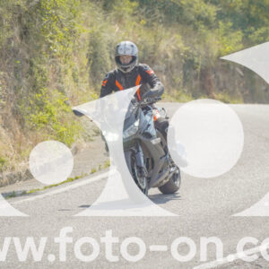 thumb_FF109937
