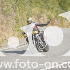 thumb_FF109954