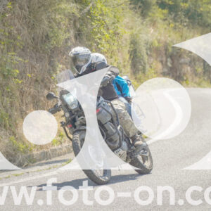 thumb_FF109956