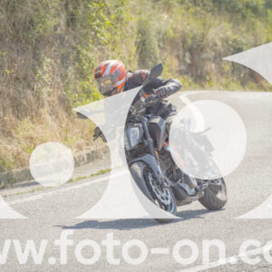 thumb_FF109958