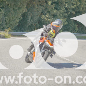 thumb_FF109964