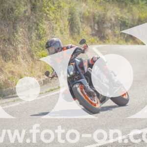thumb_FF109969