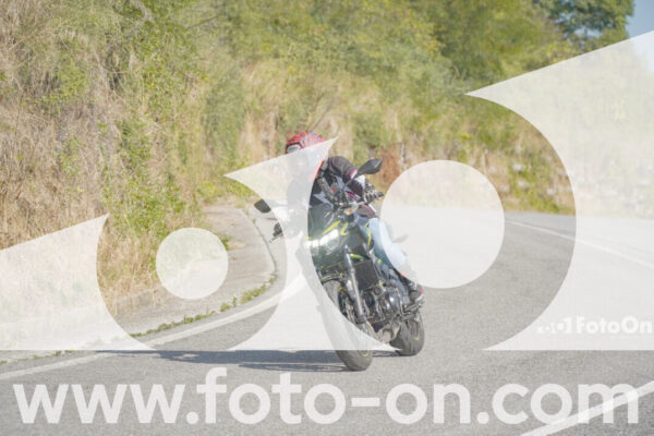 <h1 class="product-title">thumb_FF109969_1</h1>