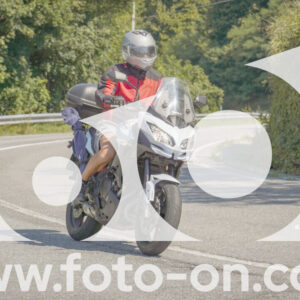 thumb_FF109973