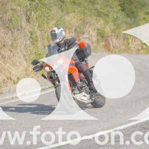thumb_FF109993