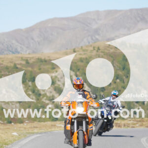 thumb_Lombarda-001