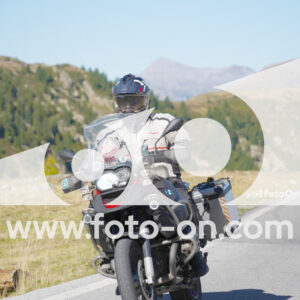 thumb_Lombarda-002