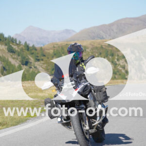 thumb_Lombarda-003