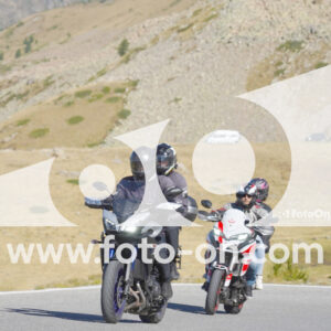 thumb_Lombarda-005