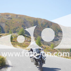 thumb_Lombarda-020
