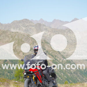 thumb_Lombarda-033