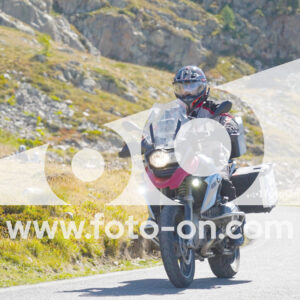 thumb_Lombarda-039
