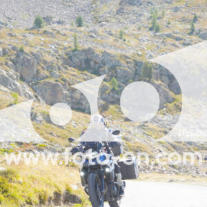thumb_Lombarda-040