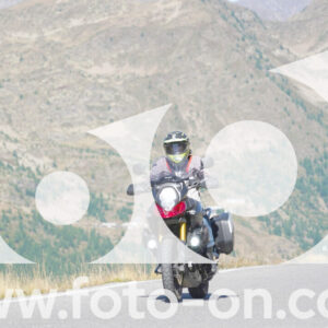 thumb_Lombarda-055