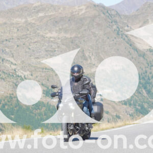 thumb_Lombarda-057