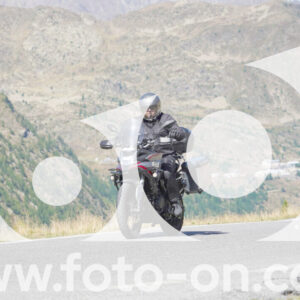 thumb_Lombarda-090