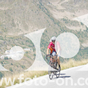 thumb_Lombarda-101