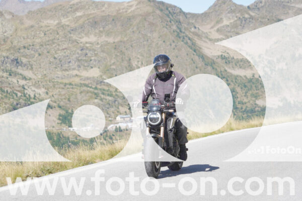 <h1 class="product-title">thumb_Lombarda-102</h1>