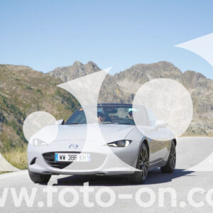 thumb_Lombarda-110
